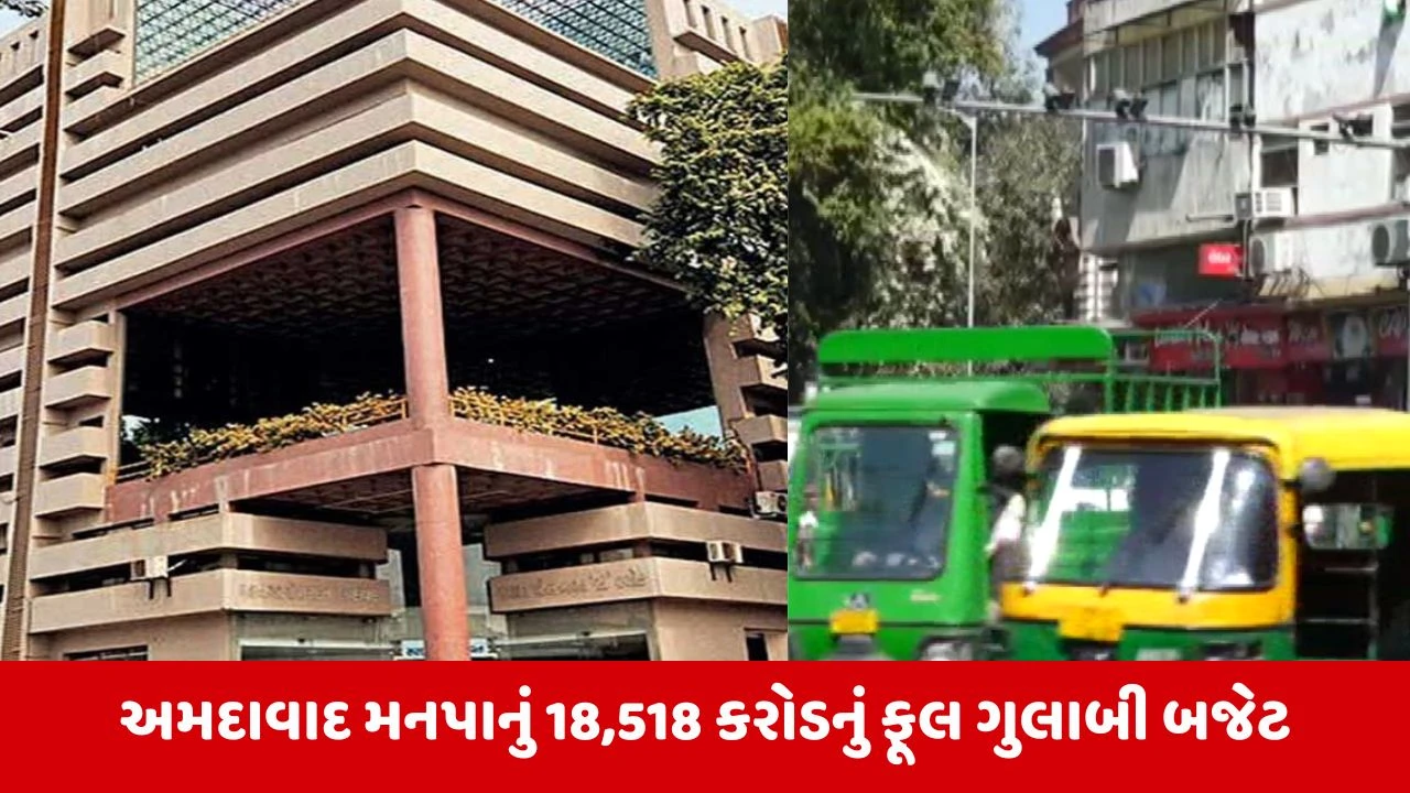 AMCના બજેટમાં સોસાયટીમાં સીસીટીવી કેમેરા લગાવવા માટેની જોગવાઈ, વિપક્ષે કહ્યું 'રોડ પર લગાવેલા કેમેરા બંધ હાલતમાં છે તેનું શું' 