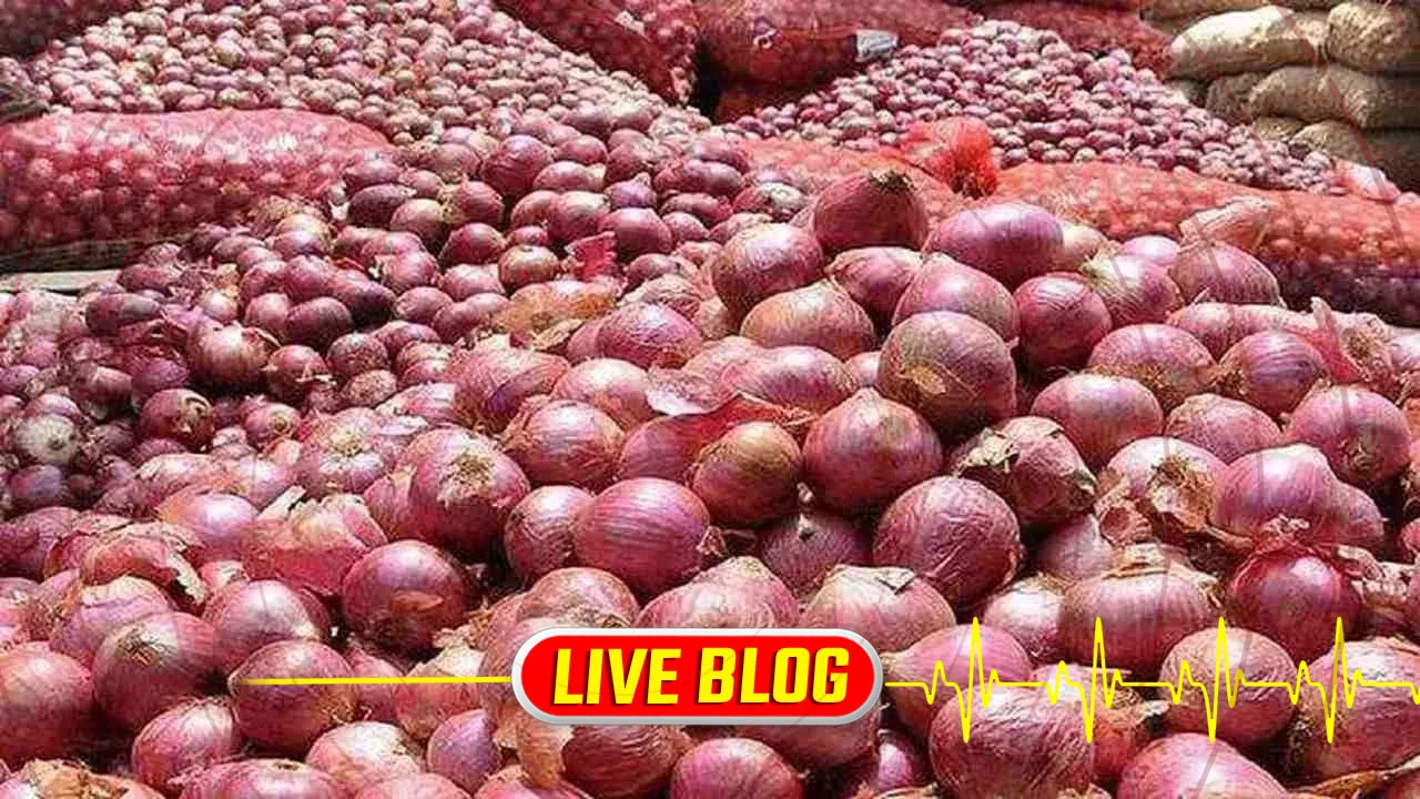 Gujarat Latest News Live : રાજકોટ શહેર-જિલ્લામાં ડુંગળીના ભાવ તળિયે પહોંચ્યા, 20 કિલો ડુંગળીનો ભાવ રુ. 80થી લઇ રુ. 320 પહોંચ્યા 