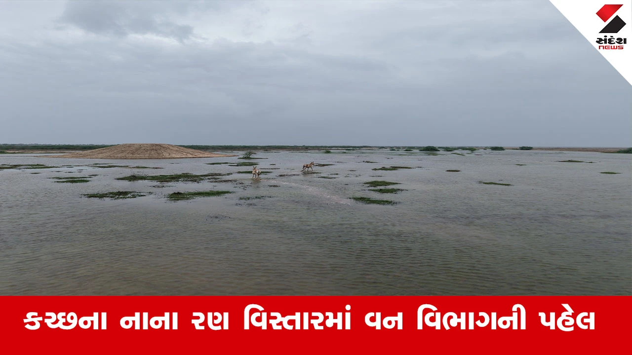 Kutch News : કચ્છના નાના રણમાં આશરે 1.35 કરોડ લિટર વરસાદી પાણીના સંગ્રહ સાથે વન્યજીવોના આવાસની થશે કાયાકલ્પ