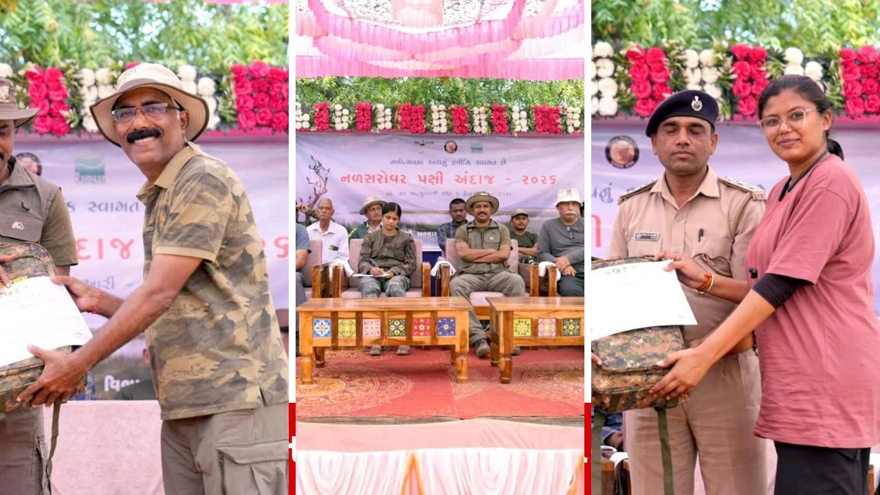 Ahmedabad News: નળ સરોવર પક્ષી ગણતરી 2026 સંપન્ન, 270 પ્રજાતિના 6.42 લાખથી વધુ પક્ષીઓની થઈ નોંધણી