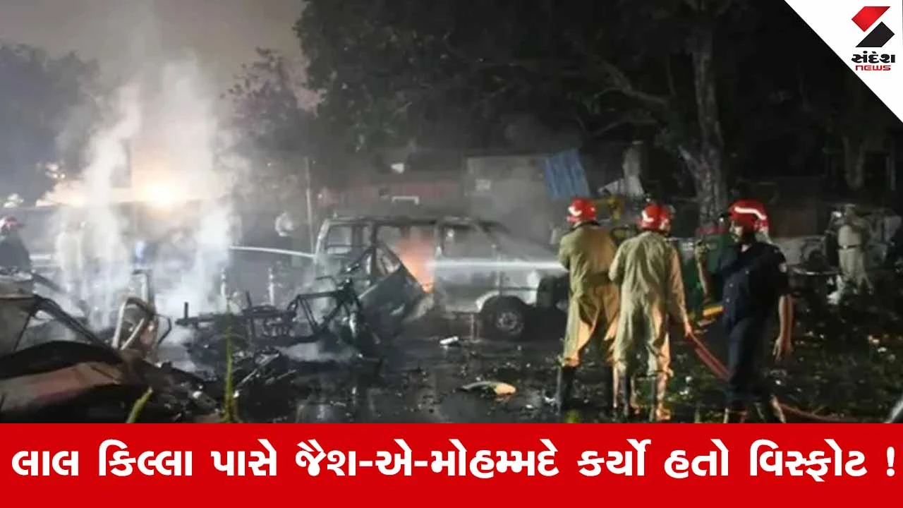Red Fort Blast : લાલ કિલ્લા હુમલા મામલે UNનો મોટો ખુલાસો 