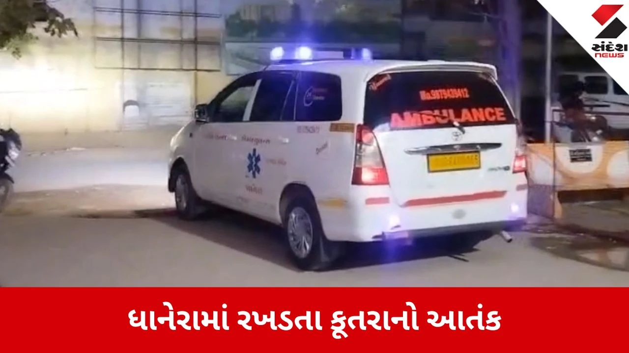 ધાનેરા: શ્રીનાથ સોસાયટીમાં રખડતા શ્વાનનો હુમલો, બે બાળકો ગંભીર રીતે ઘાયલ થતા વધુ સારવાર માટે ખસેડાયા.
