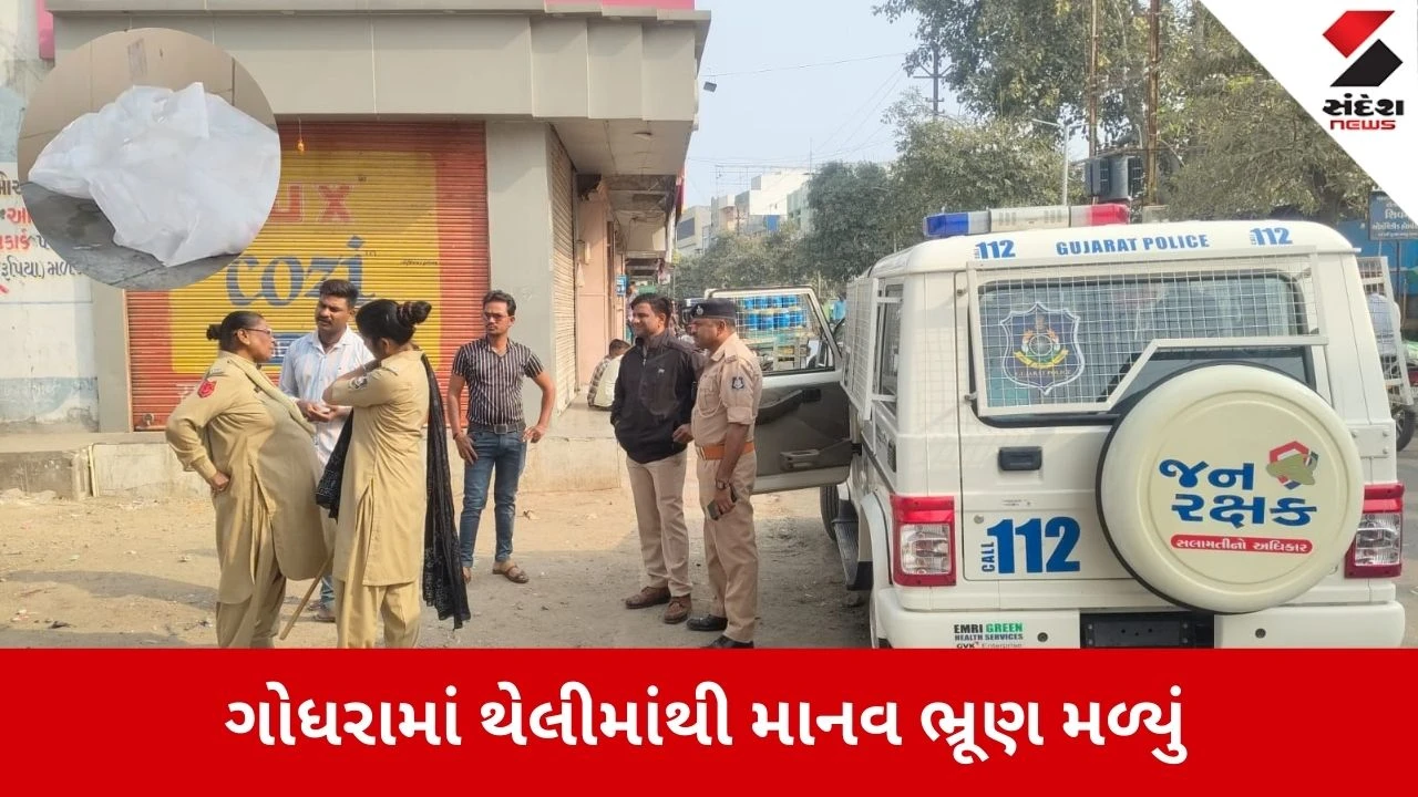 Panchmahal News: ગોધરામાં માનવ ભ્રૂણ મળતા ખળભળાટ, પોલીસ તપાસ શરૂ કરી 