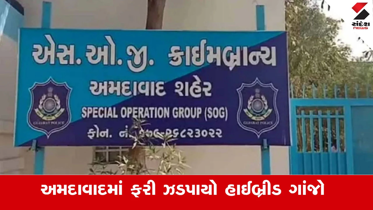 અમદાવાદ SOG પોલીસે 7 કરોડના હાઈબ્રીડ ગાંજા સાથે બે આરોપીઓની ધરપકડ કરી.