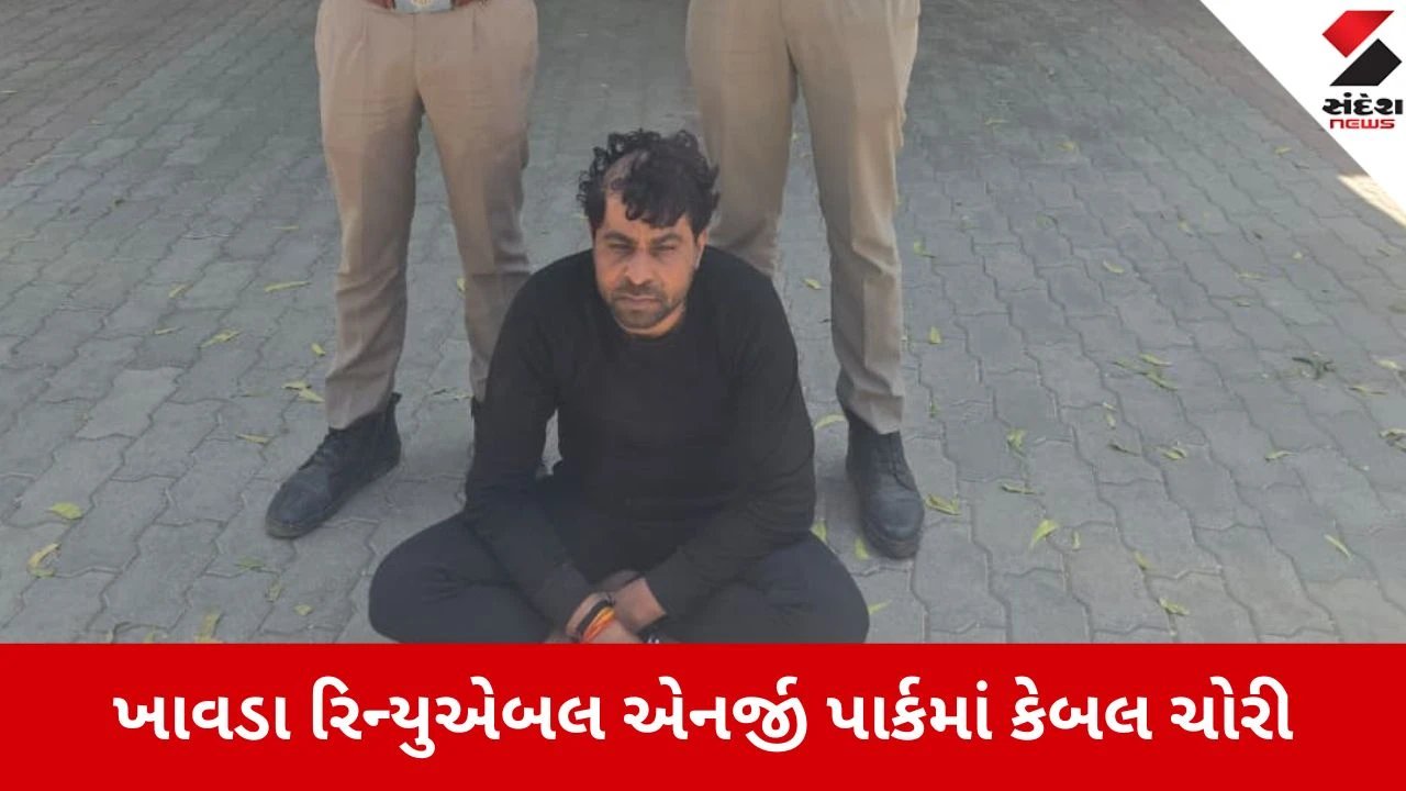 કચ્છના ખાવડા Renewable Energy Park માંથી 7 લાખના કેબલની ચોરી, પોલીસ ફરિયાદ.