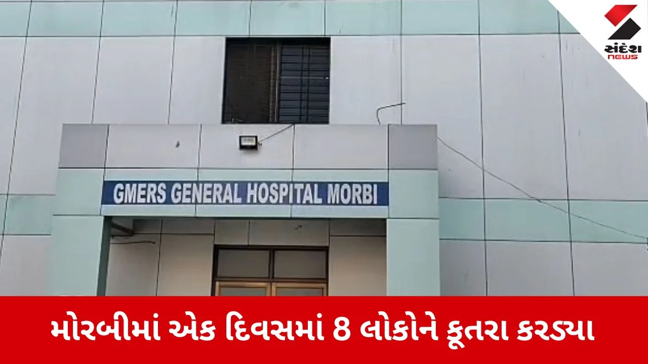 Morbi News: રખડતા કૂતરાનો આતંક, 8 લોકોને ભર્યા બચકા 