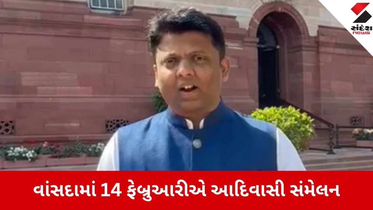 Navsari: વાંસદા ખાતે 14 ફેબ્રુઆરીએ આદિવાસી અસ્મિતાનું મહાસંમેલન, સાંસદે સમાજની એકતા અને વિકાસ માટે જનતાને આહવાન કર્યું 