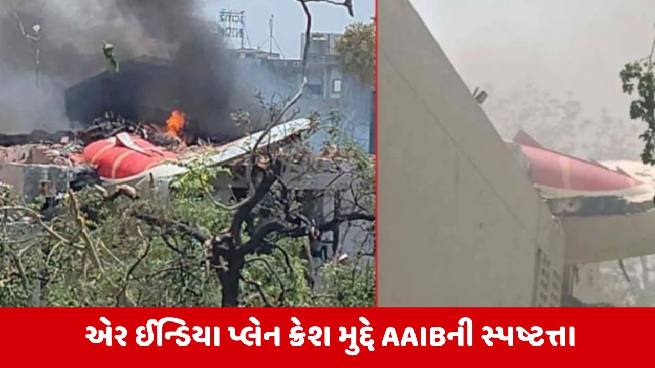 Ahmedabad Plane Crash : એર ઈન્ડિયા પ્લેન દુર્ઘટના પાયલટે જાણી જોઈને કરી હતી? દાવા પર સરકારે આપી પ્રતિક્રિયા 