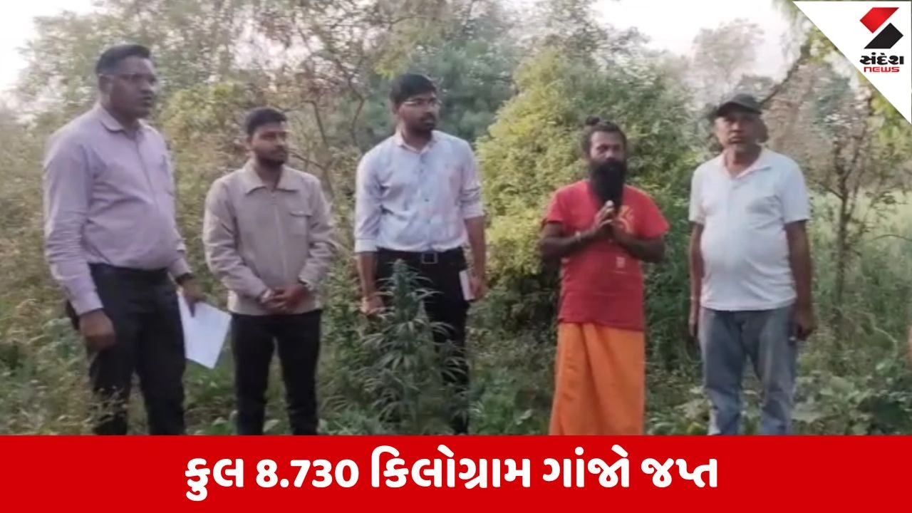 Aravalli : મેઘરજના લાલપુરમાં SOGની મોટી કાર્યવાહી, ગાંજાનું ખેતર ઝડપાયુ, આશ્રમનો સેવક ઝડપાયો 