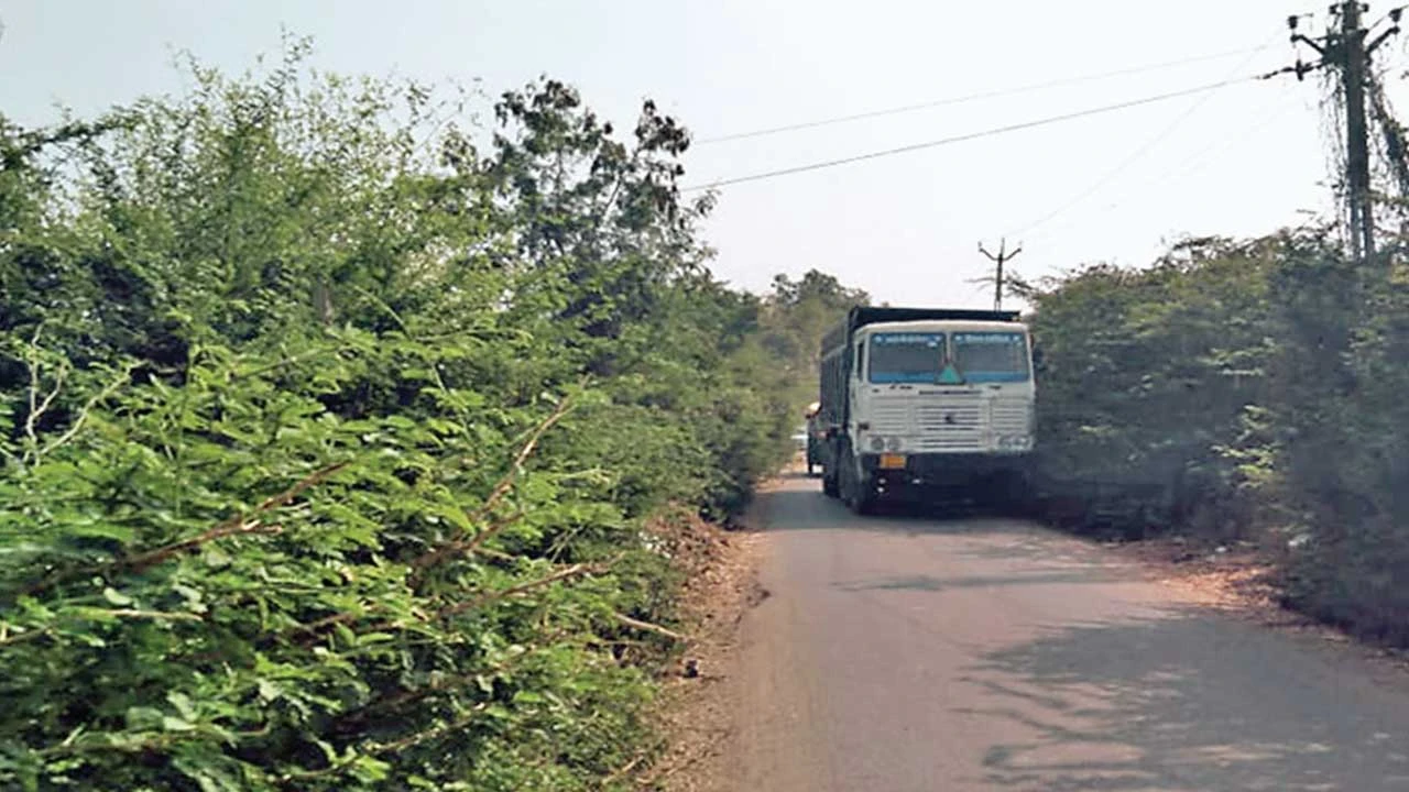 Surendranagar: ચૂડા-બોરાણા રોડ પર બાવળના સામ્રાજયથી વાહનચાલકો પરેશાન 