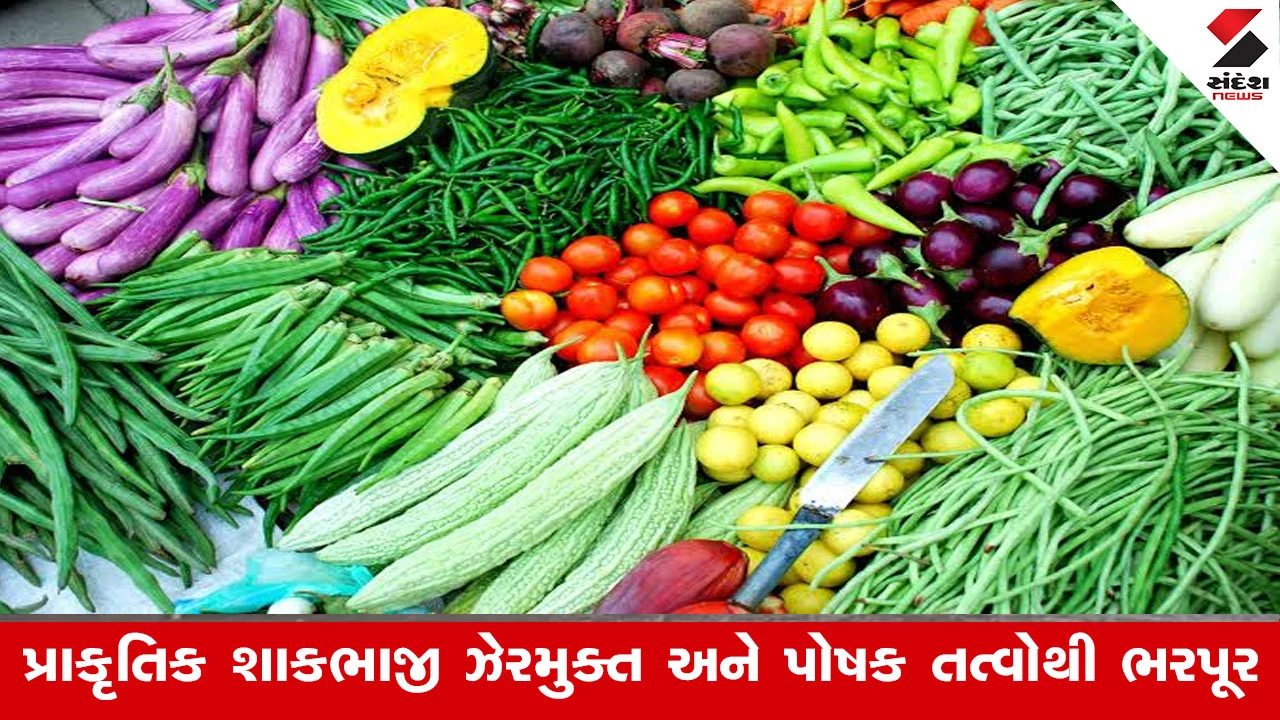 Agriculture News : પ્રાકૃતિક શાકભાજીના વાવેતર દરમિયાન રાખવાની થતી સાવચેતી, વાવવાની પધ્ધતિ‌ અંગેની જાણકારી