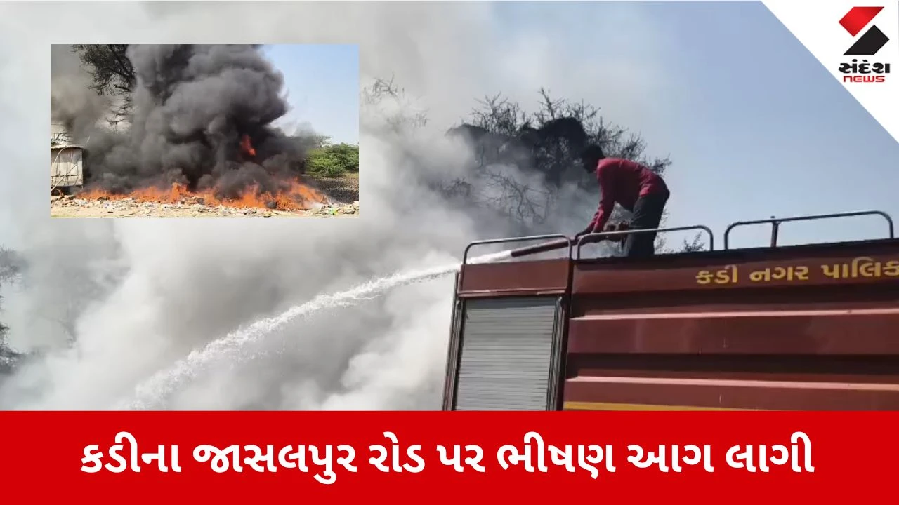 Mahesana News: કડીમાં માલગુરુ મંદિર પાસે લાગી આગ, અફરાતફરીનો માહોલ 
