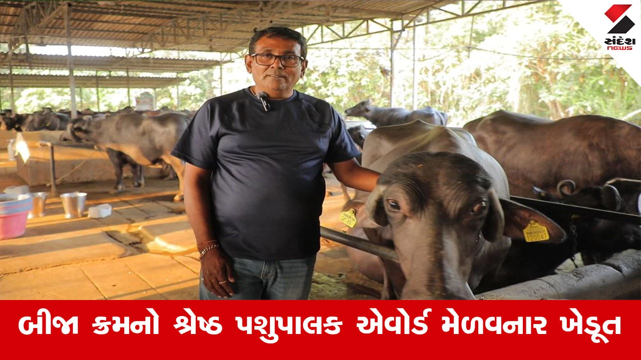 Agriculture News : રાજય સરકાર દ્વારા રાજ્યના બીજા ક્રમનો શ્રેષ્ઠ પશુપાલક એવોર્ડ મેળવતા સુરત જિલ્લાના ડુંગરી ગામના પશુપાલક ખંડુભાઈ પટેલ 