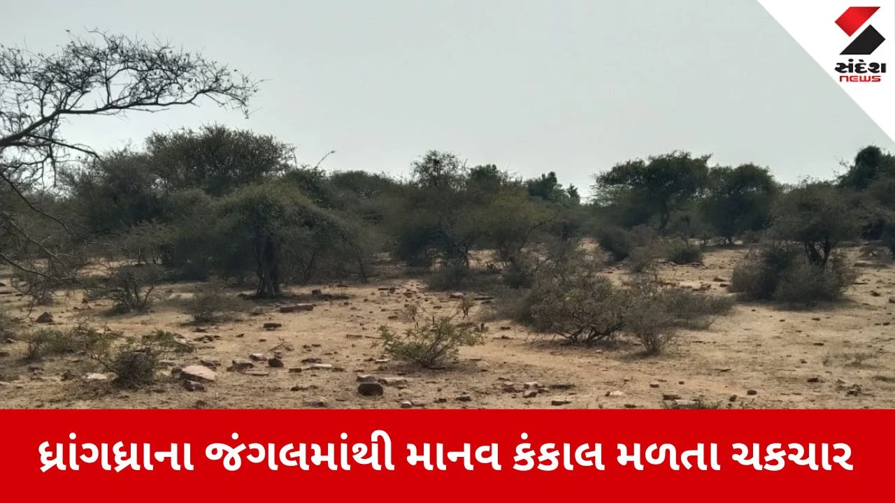 Surendranagar News: ગોપાલગઢના જંગલમાંથી મળ્યું માનવ કંકાલ, પોલીસ તપાસ તેજ 