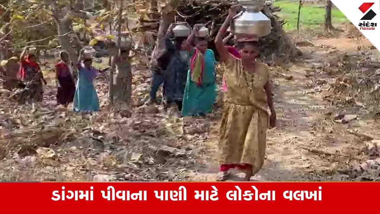 Gujarat News: ડાંગ જિલ્લામાં ચોમાસામાં ભરપૂર વરસાદ વરસ્યો પણ ઉનાળાની શરૂઆત પહેલા જળ સંકટ ઘેરાયુ