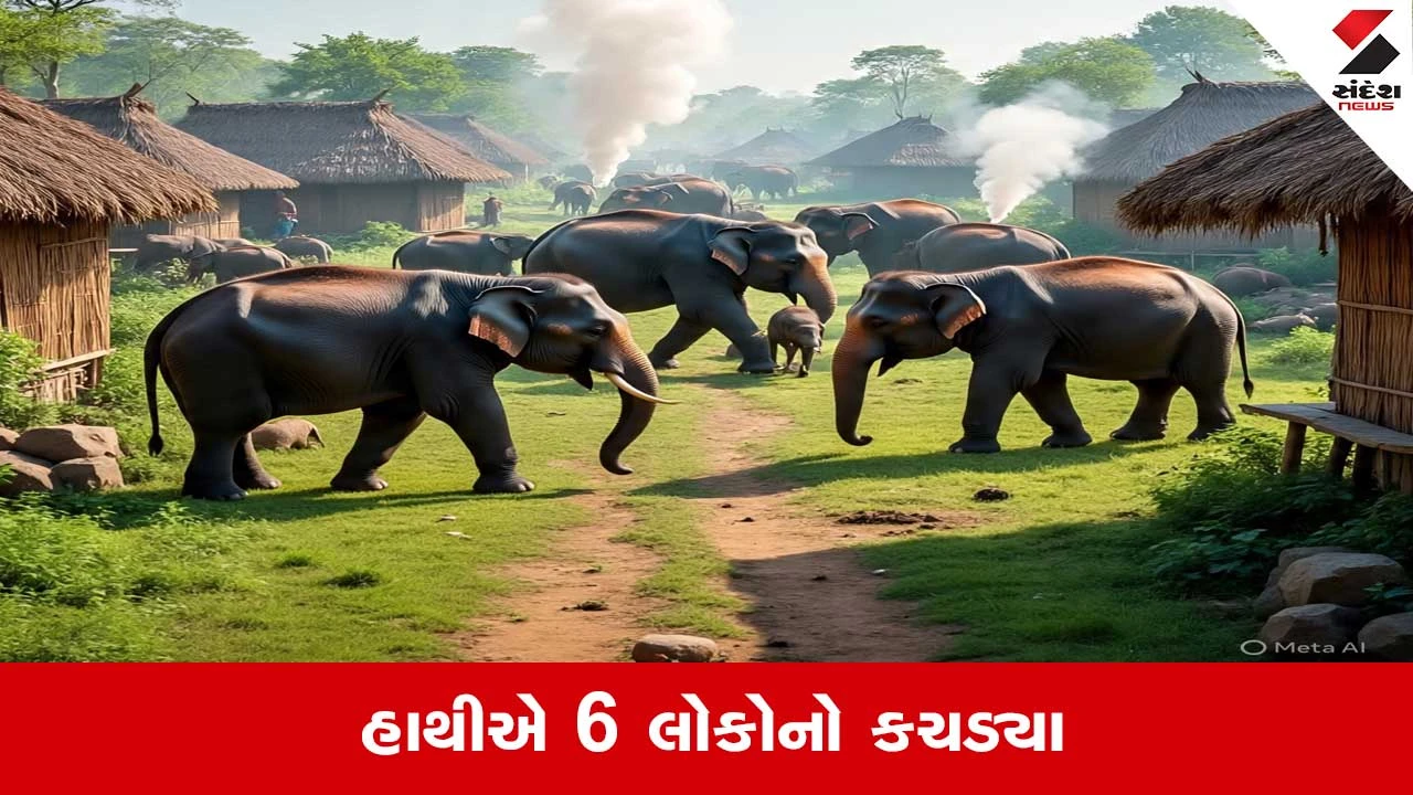 Jharkhand : હજારી બાગમાં હાથી બન્યા ખૂંખાર..એક જ પરિવારના 4 સહિત કુલ 6ને કચડ્યા 
