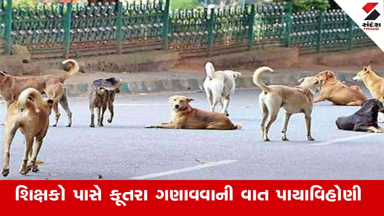 શિક્ષણ વિભાગે અહેવાલો રદ કર્યા, શિક્ષકો પાસે કૂતરા ગણાવવાની વાત પાયાવિહોણી હોવાનો ખુલાસો.