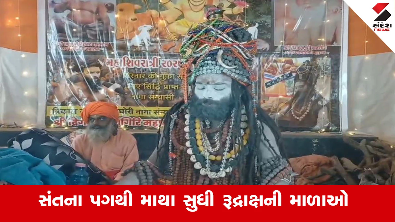 Junagadh News: મહાશિવરાત્રિ મેળામાં 11,000 રુદ્રાક્ષધારી સંતના દર્શન માટે લોકોની ભીડ.