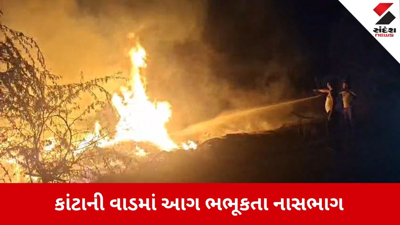 Bhavnagar News: કાંટાની વાડમાં આગ ભભૂકતા નાસભાગ, 11 KV ના વાયરો બળીને જમીનદોસ્ત 