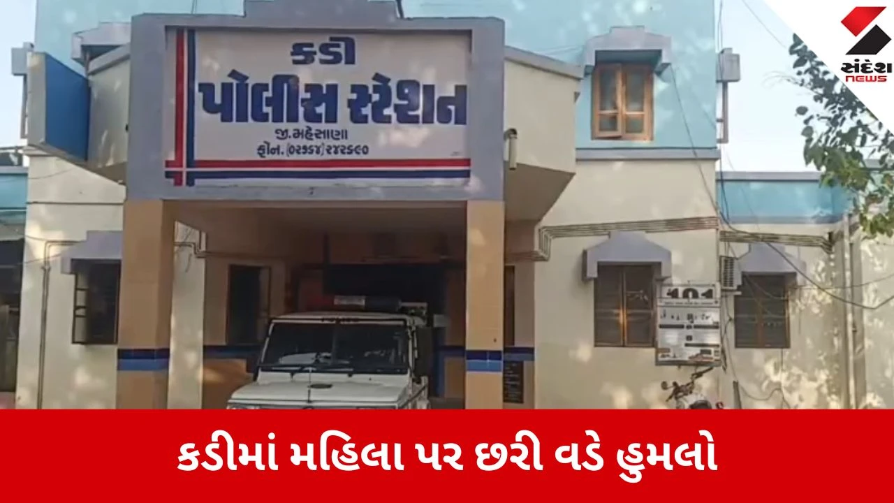 Kadi: વાહન અકસ્માતની અદાવતમાં મહિલા પર છરી વડે જીવલેણ હુમલો; અણમોલ વિલામાં મધરાતે હંગામો