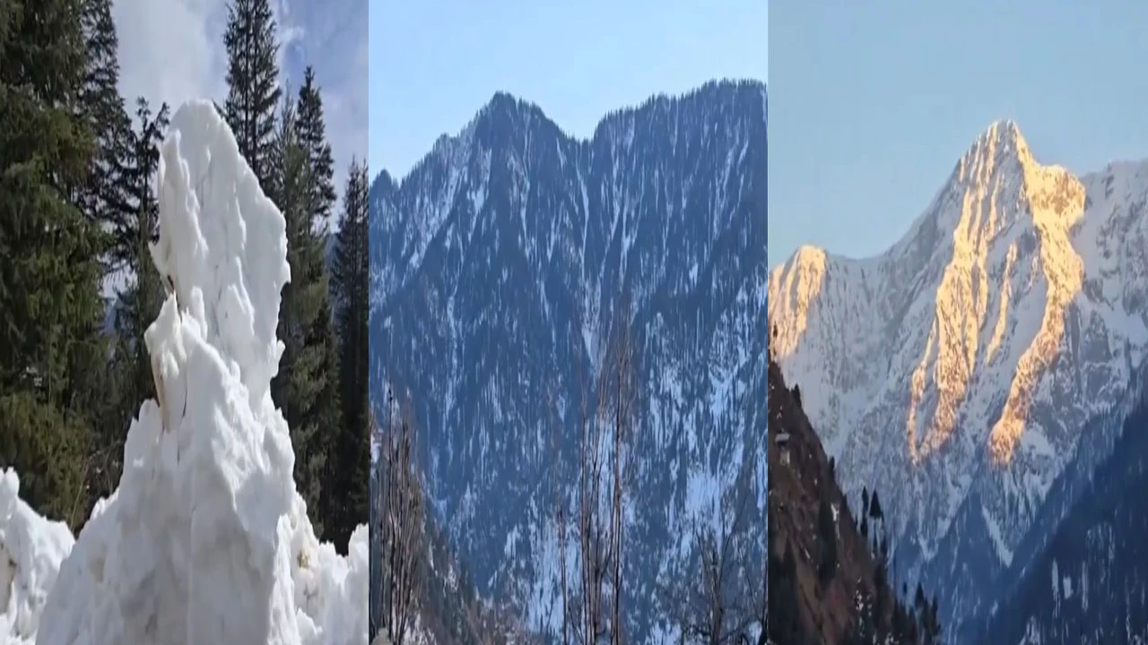 જમ્મુ-કાશ્મીરમાં હિમવર્ષા થતાં ચારે તરફ બરફની સફેદ ચાદર છવાઇ ગઇ.