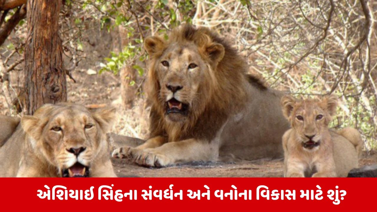 Gujarat Budget 2026: બજેટ 2025માં વનોના વિકાસ માટે કરાઇ હતી મહત્વની જાહેરાત, આ વર્ષે પણ સિંહ સંવર્ધન પર ભાર મૂકાશે! 