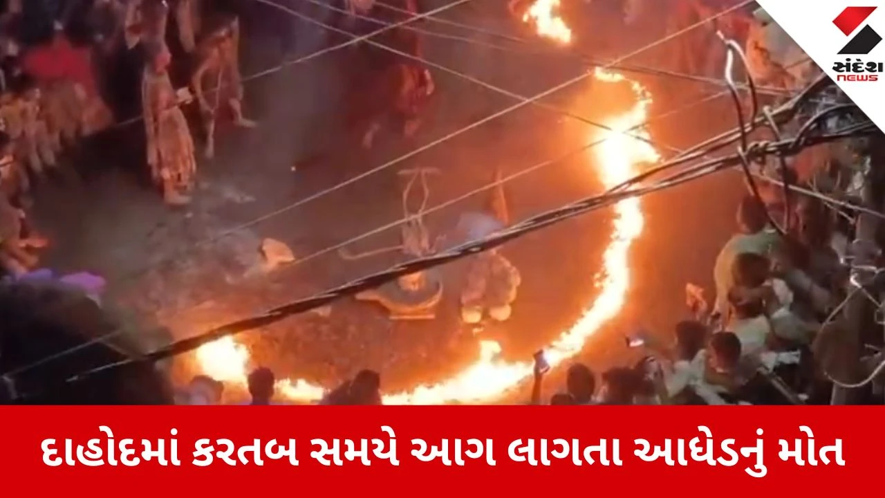 દાહોદના ગરબાડામાં શિવરાત્રીની શોભાયાત્રામાં આગ લાગતા કરતબ દરમિયાન એક વ્યક્તિનું જીવતું ભૂંજાય જવાથી કરુણ મોત.