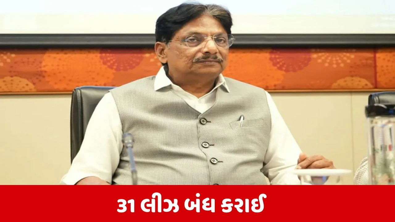 Banaskantha : દાંતા તાલુકામાં 107 લીઝ પૈકી 76 કાર્યરત : ઋષિકેશ પટેલ