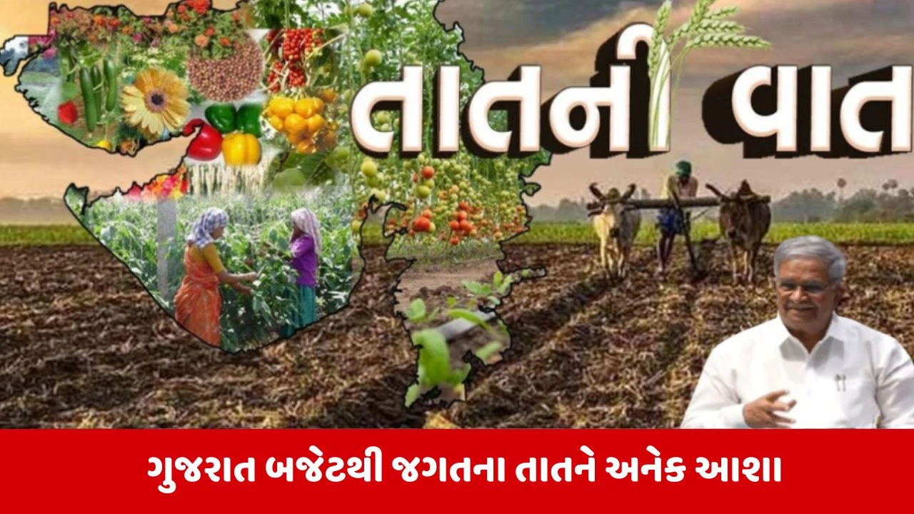 Gujarat Budget 2026: કૃષિ ક્ષેત્રે ખેડૂતોને બજેટથી અનેક આશા, જાણો ગયા વર્ષે શું કરાઇ હતી મહત્વની જાહેરાત 