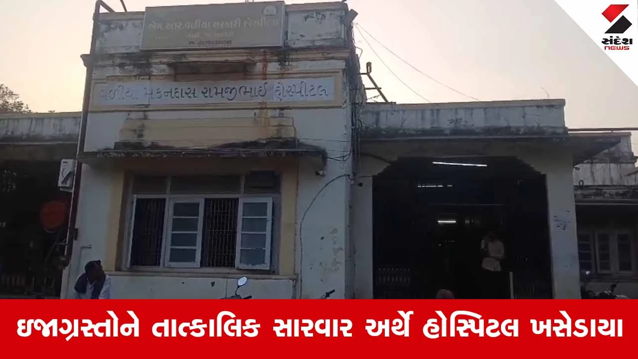 Amreli News: લાઠીના ઝરખીયા ગામે મધમાખીઓનો આતંક, પાદરમાં બેઠેલા 6 લોકોને લીધા અડફેટે 