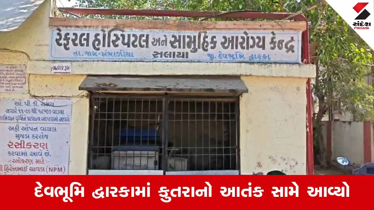 Dwarka : દેવભૂમિ દ્વારકામાં રખડતા શ્વાનોનો આતંક, એક જ દિવસે 8 લોકો પર હુમલો 