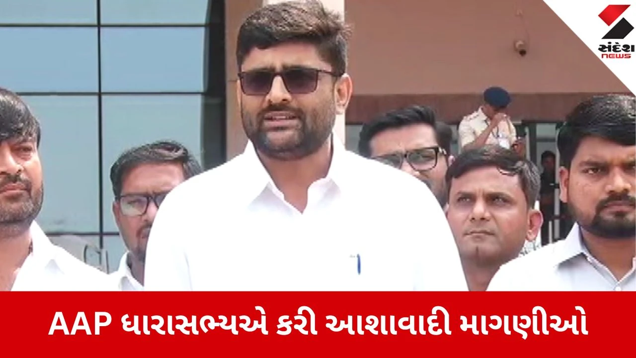 Gujarat Budget 2026: ગુજરાતના ખેડૂતોને પંજાબની જેમ મફત વીજળી આપો, ગોપાલ ઇટાલિયાએ સિંચાઈના પાણી મુદ્દે સરકારને ઘેરી 