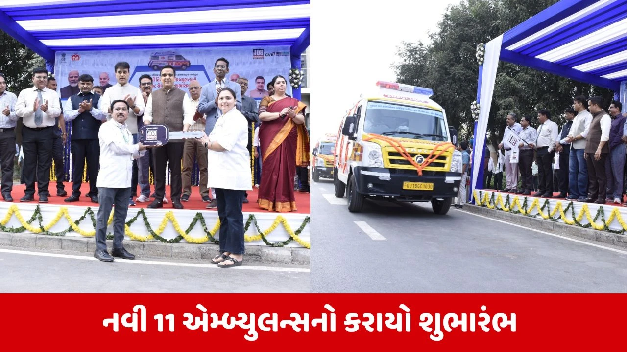 Gandhinagar : DYCM હર્ષ સંઘવીના હસ્તે 11 નવી 'નિયોનેટલ એમ્બ્યુલન્સ'ને અપાઈ લીલીઝંડી 