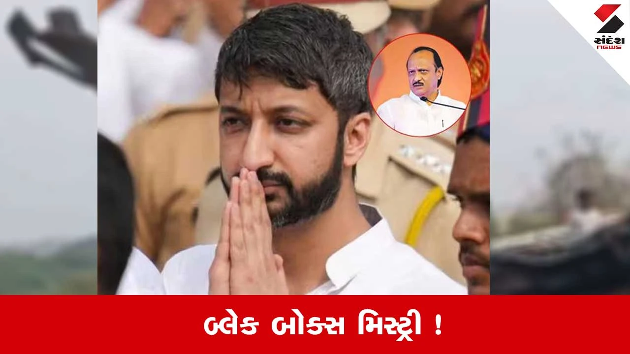 Baramati Plane Crash: બ્લેક બોક્સ સરળતાથી ન બળી શકે... અજિત પવારના મોત અંગે પુત્રએ ઉઠાવ્યા સવાલ 