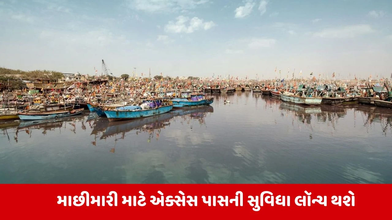 Gujarat : એક્સેસ પાસ દ્વારા માછીમારો સશક્ત બનશે, નિકાસમાં થશે વધારો 