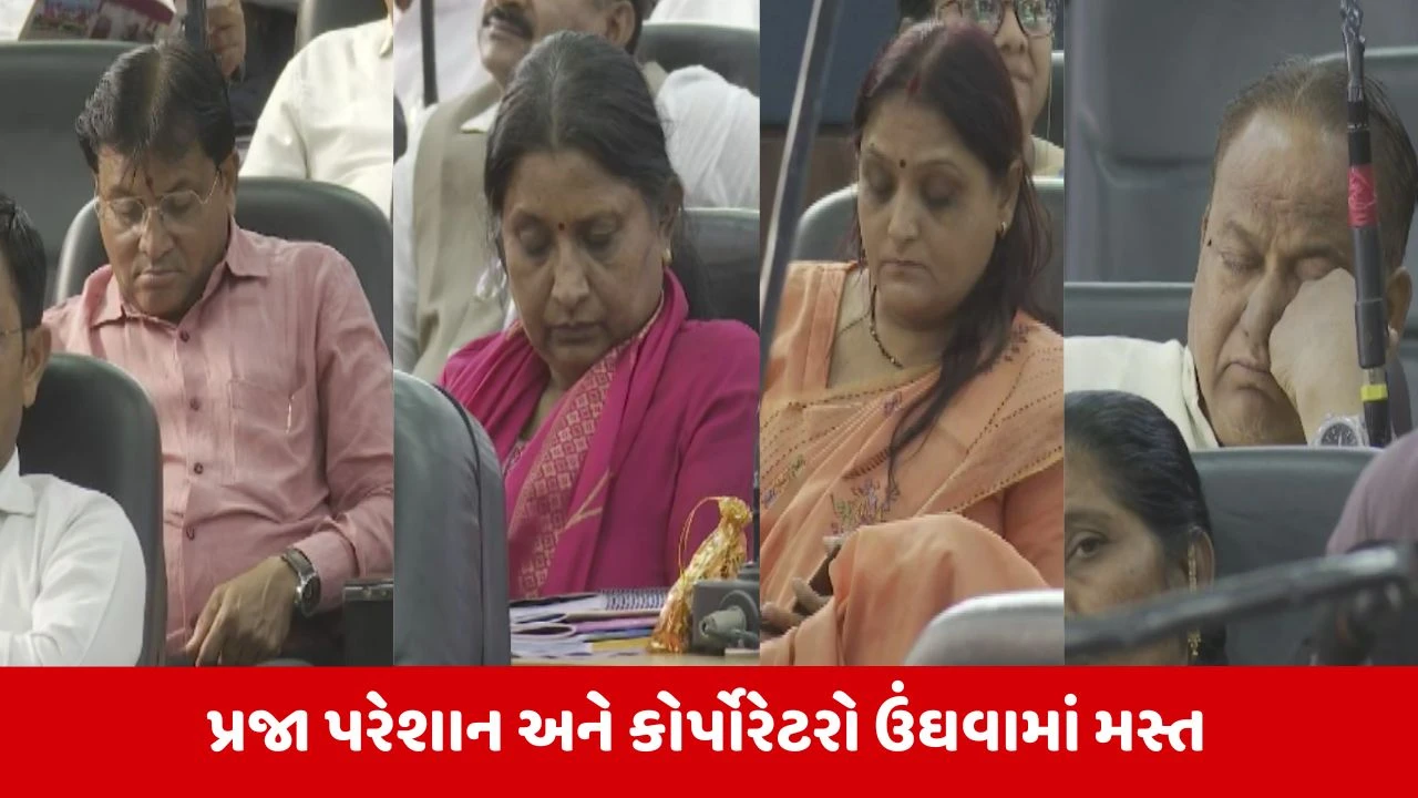 Ahmedabad News: કોર્પોરેટરોને જગાડવામાં પ્રજા પછી ચોકલેટનો કીમિયો નિષ્ફળ નીકળ્યો, બેધડક ઊંઘ ખેંચી જ લીધી 