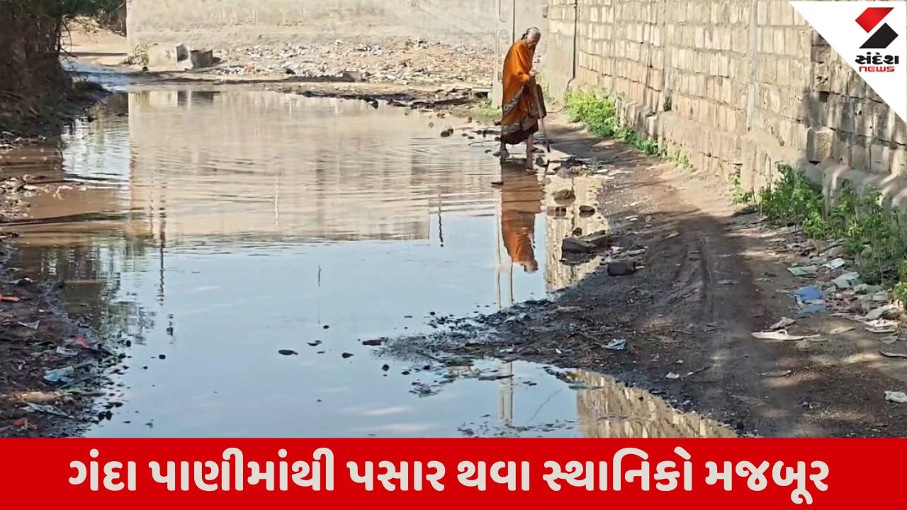 Dwarka : જામ ખંભાળીયા નગરપાલિકા વિસ્તારમાં ગંદકીથી લોકો ત્રાહિમામ, અનેક રજૂઆતો કરવા છતાં સફાઇની સચોટ કામગીરી કરાતી નથી 