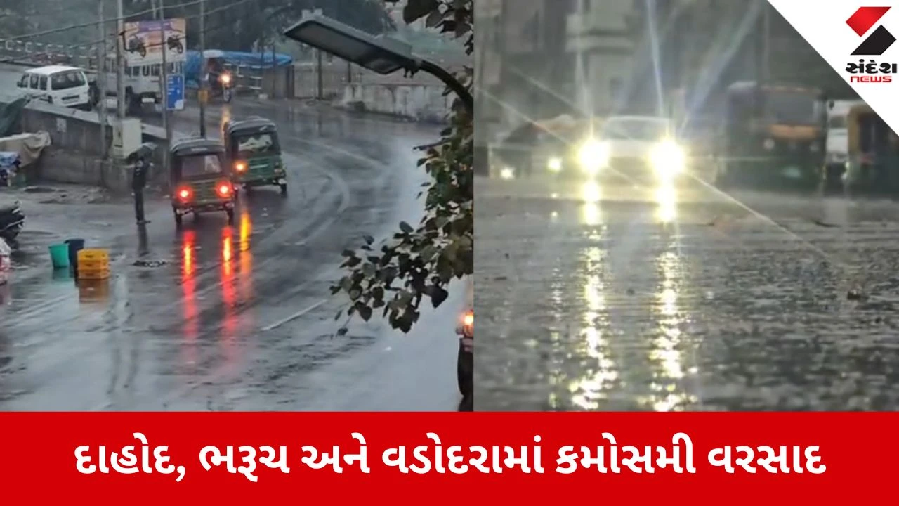Vadodara: દાહોદ, ભરૂચ અને વડોદરામાં કમોસમી વરસાદ, ખેતી પાકને ભારે નુકસાનની ભીતિ 