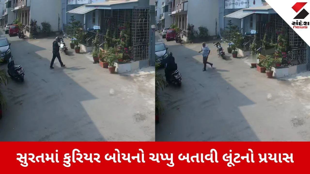 કુરિયર બોય બની આવેલા શખ્સે વૃદ્ધ પર ચપ્પુથી હુમલો કર્યો, પ્રતિકારથી લૂંટારુના હોશ ઉડી ગયા.