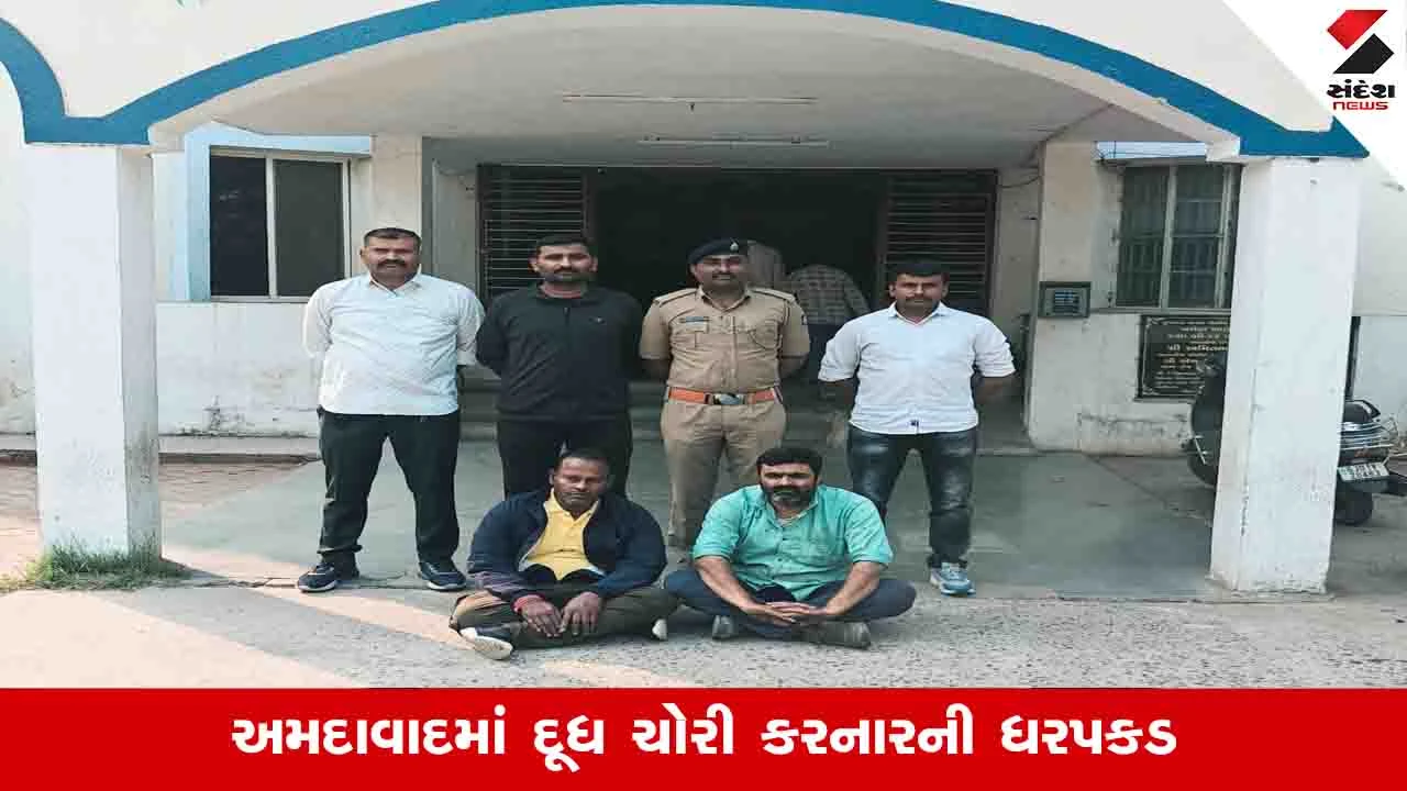 Ahmedabad News: વહેલી સવારે દૂધની ચોરી કરનારા બે આરોપીઓની ધરપકડ, પોલીસે 35 નંગ કેરેટ જપ્ત કર્યા 