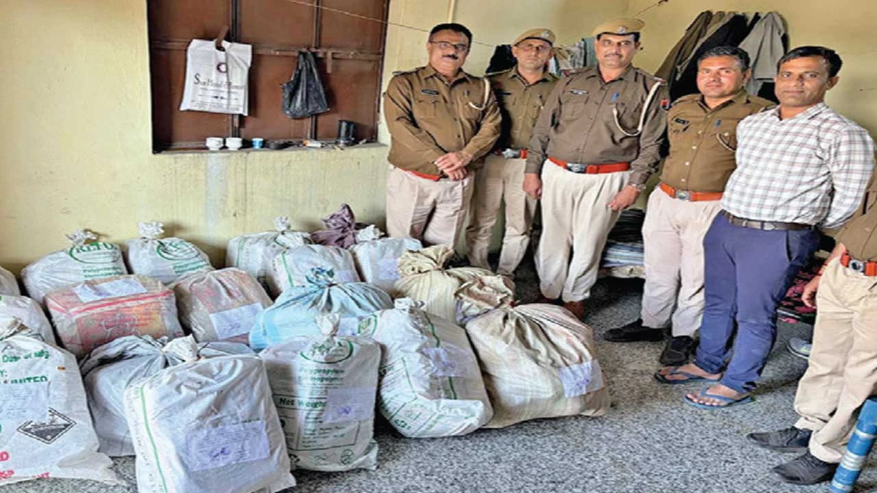Palanpur: અમીરગઢ નજીક કન્ટેનરમાંથી 204 કિલો ગાંજો ઝડપાયો, ચાલકની અટકાયત 