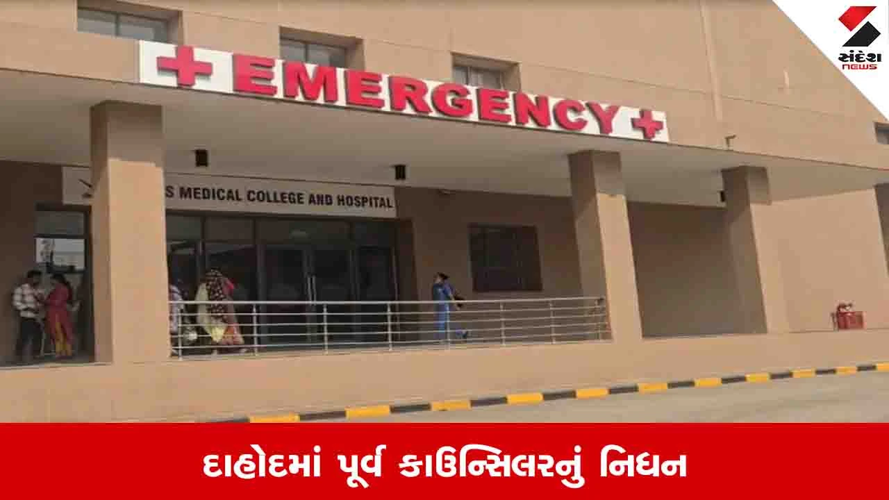Dahod News: ગધેડાએ લાત મારતા પૂર્વ કાઉન્સિલરને ગંભીર ઈજા પહોંચી, સારવાર દરમિયાન નિપજ્યું 