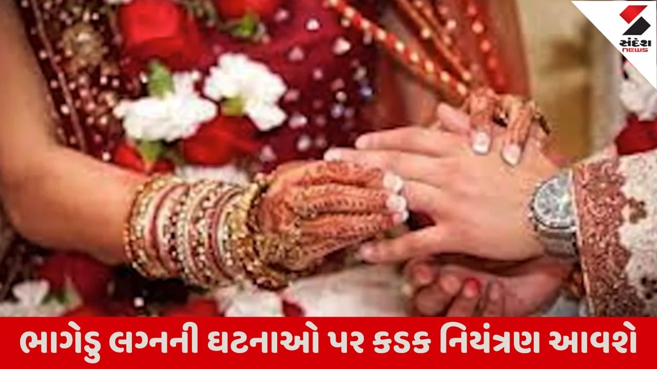 ભાગેડુ લગ્ન પ્રથામાં કાયદાકીય સુધારો, પાટીદાર આગેવાનનું નિવેદન, સરકાર સાથેની સતત વાટાઘાટો બાદ સફળતા મળી.