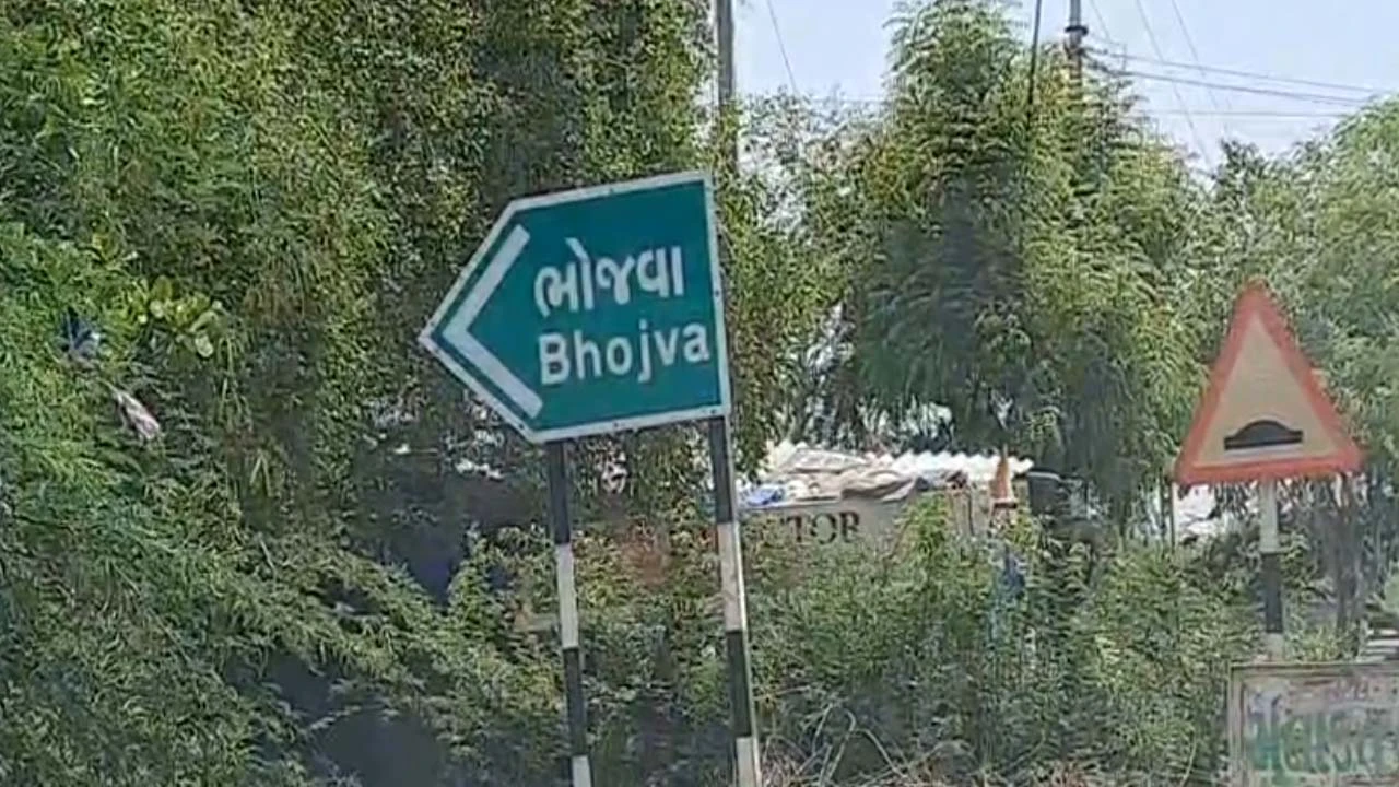 Gujarat Latest News Live: વિરમગામના ભોજવા ગામે મધમાખીઓના ઝુંડનો હુમલો, 30થી વધુ શ્રધ્ધાળુઓને મધમાખીઓએ ડંખ માર્યા 