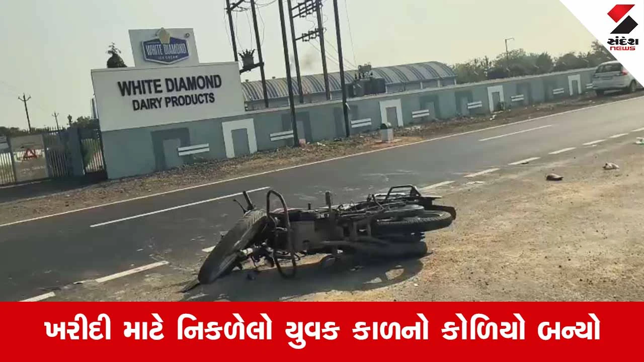 Bharuchના જંબુસરમાં લગ્ન પ્રસંગ માતમમાં ફેરવાયો, વરરાજાના ભાઈનું અકસ્માતમાં કરુણ મોત 