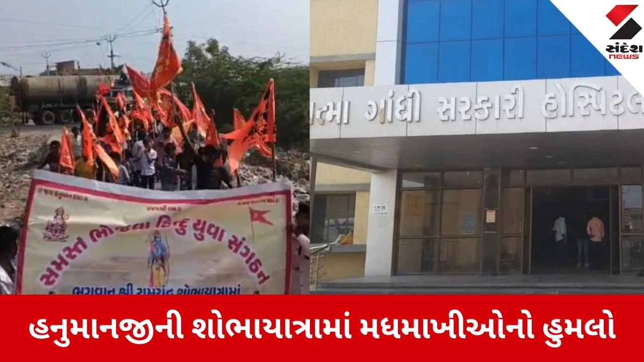 Ahmedabad: શિંગડાથર હનુમાનજી મંદિરે ડીજેના અવાજથી મધમાખીઓ ઉડી, બાળકો અને વૃદ્ધો સહિત અનેક લોકો પર હુમલો 