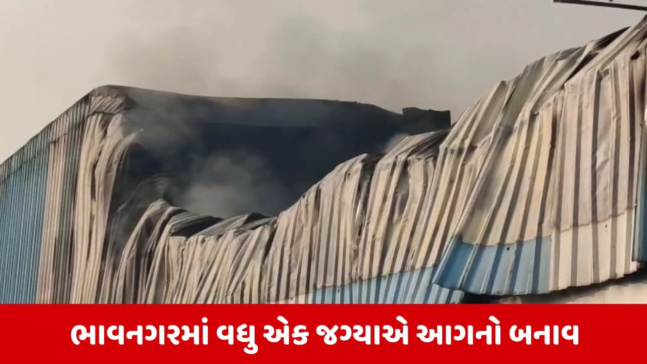 Bhavnagar : ચિત્રા GIDC વિસ્તારમાં ગોડાઉનમાં લાગી ભીષણ આગ, 2 લાખ લીટર પાણીનો છંટકાવ કરાયો 