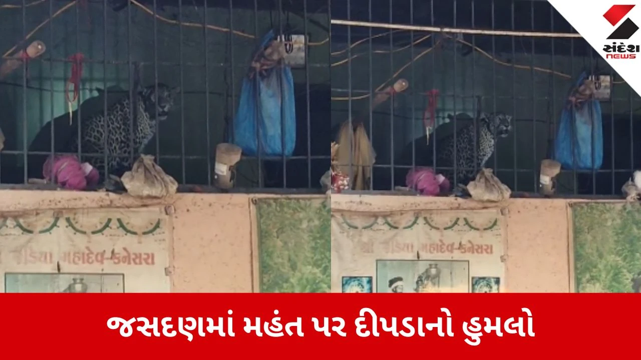 Jasdan: જડિયા મહાદેવના મહંત અને સેવક પર દીપડાનો ખૂંખાર હુમલો, ભક્તોએ દીપડાને ઓરડામાં કર્યો કેદ 