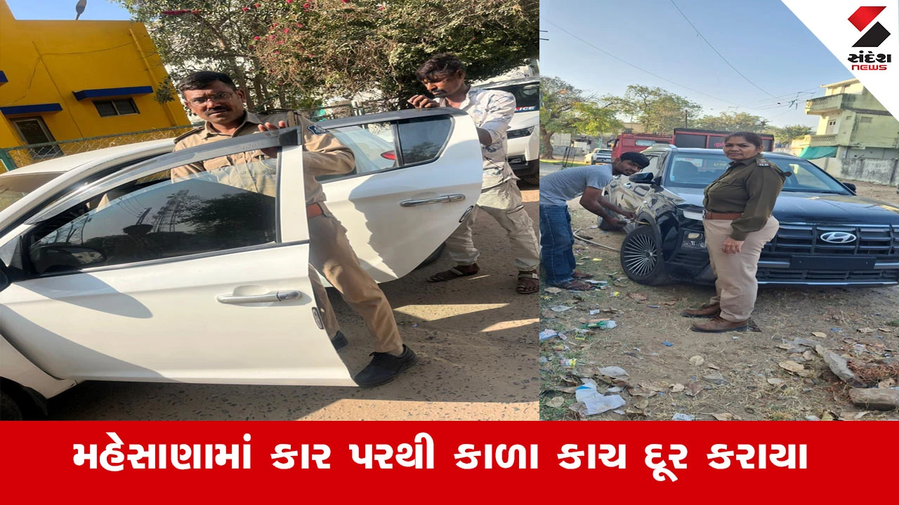 Mehsana News : મહેસાણા પોલીસે પોલીસને જ ફટકાર્યો દંડ, કાળા કાચ અને નંબર પ્લેટ વગરની કારના માલિકો સામે કાર્યવાહી 