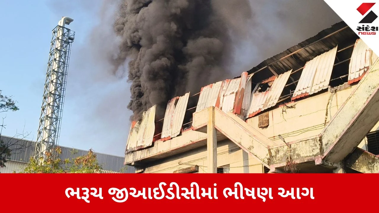 Bharuch: કંપનીમાં અચાનક લાગી આગ, પાલિકા અને GNFCના ફાયર ફાઈટરોએ ભારે જહેમતે આગ બુઝાવી 